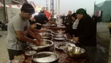 فعالیت شبانهروزی 48 موکب هرمزگان در ایام اربعین + فیلم