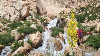 محیطزیست خواستار توقف آنی ساخت سد ماندگان شد+سند