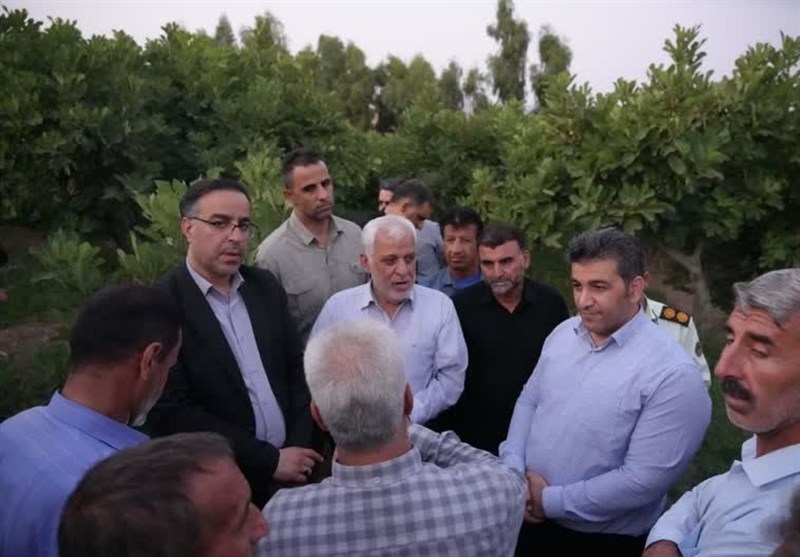 _مشکلات_ _باغداران_ _انجیر_ _معمولان_ _باید_ _برطرف_ _شود_