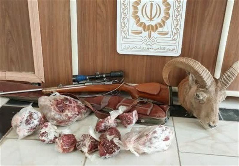 معرفی 5 گروه متخلف زیستمحیطی به مراجع قضایی