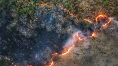 مهار آتشسوزی در جنگلهای لرستان/ 26 مظنون شناسایی شد