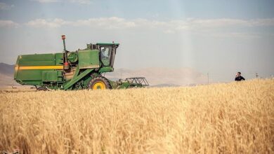 نقش کودهای پتاسه در افزایش تولید محصولات استراتژیک در قم