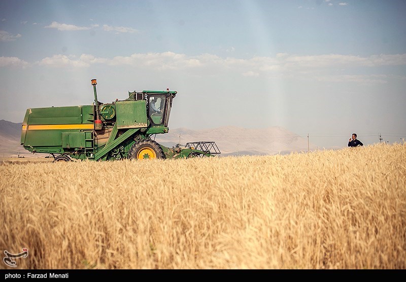 نقش کودهای پتاسه در افزایش تولید محصولات استراتژیک در قم