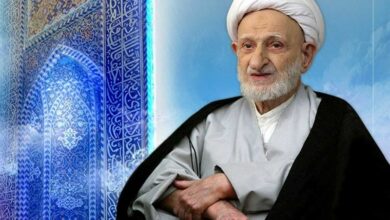 نکتهای مهم از آیتالله بهجت درباره زیارت در اربعین