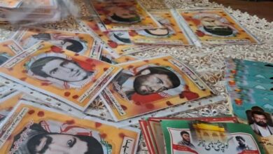 همقدم با 551 شهید کوهدشت از نجف تا کربلا