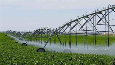 وزارت کشاورزی واحدهای تولیدی را شناسنامهدار کند