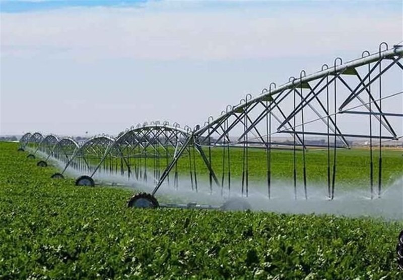 وزارت کشاورزی واحدهای تولیدی را شناسنامهدار کند