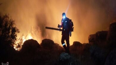 وقوع 10 فقره آتشسوزی در جنگلها و مراتع کهگیلویه و بویراحمد