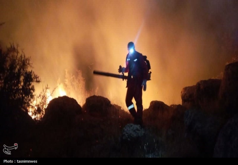 وقوع 10 فقره آتشسوزی در جنگلها و مراتع کهگیلویه و بویراحمد