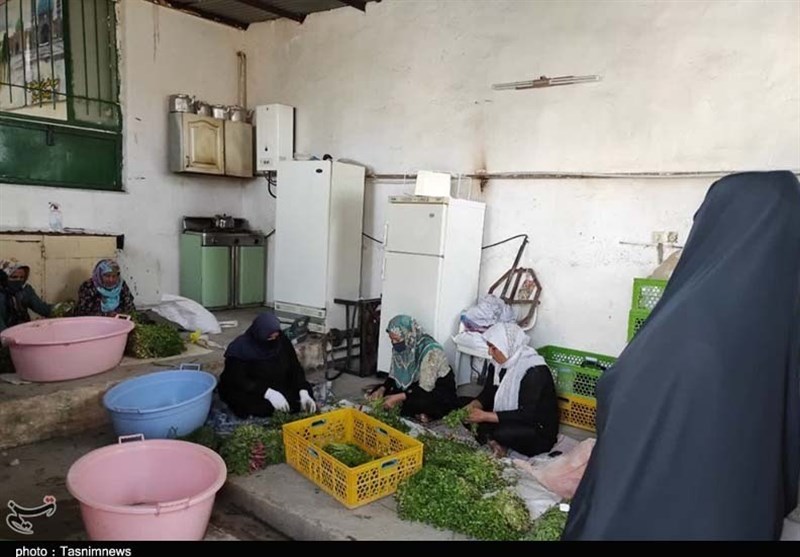 پرداخت 5 هزار میلیارد تومان تسهیلات مشاغل خانگی به زودی