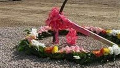 کلنگزنی پارک اوتیسم در اراک