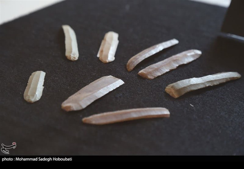 گشایش نمایشگاه