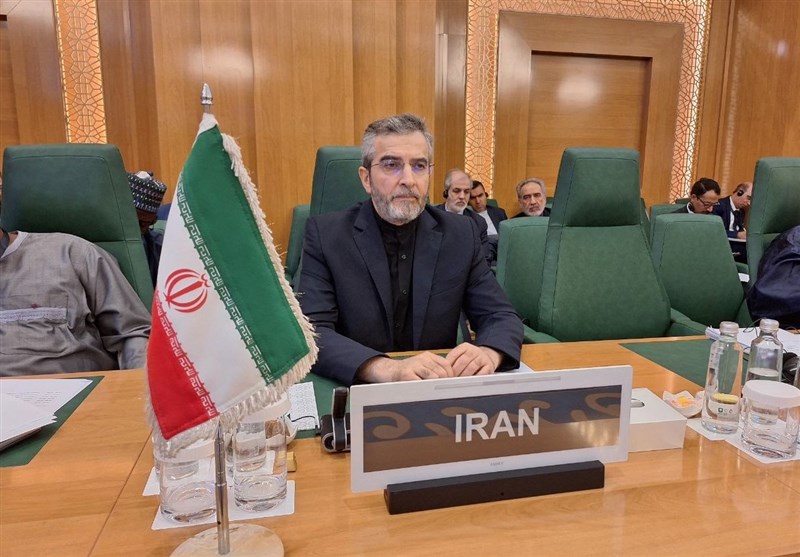 گفتوگوی باقری با معاون دفتر سیاسی حماس