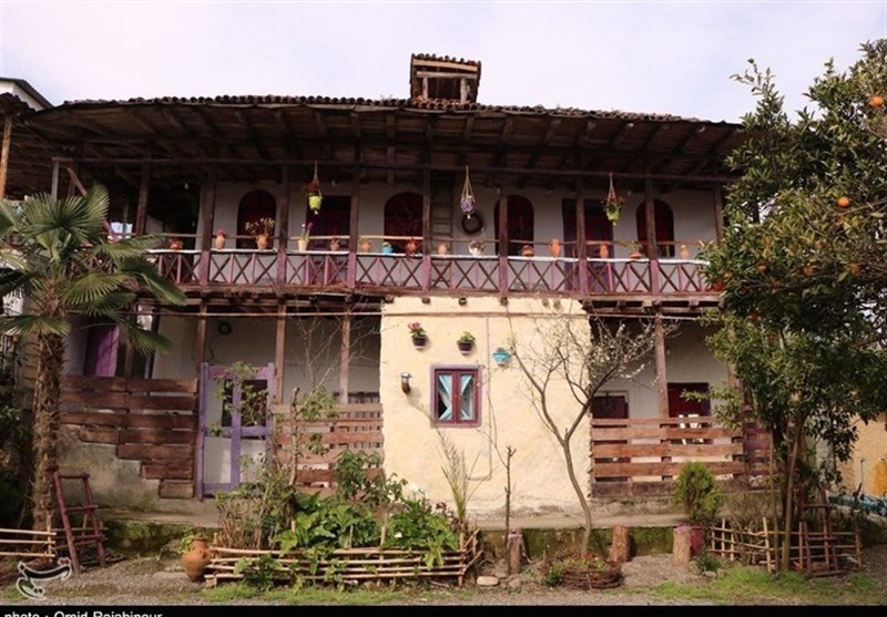 110 بومگردی در سطح استان ایلام فعال است+ فیلم