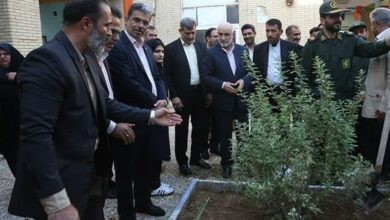 5000 دانشآموز بوشهری زیرپوشش محیطیار قرار گرفتند