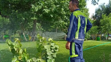 60 هکتار فضای سبز به شهر سنندج اضافه میشود