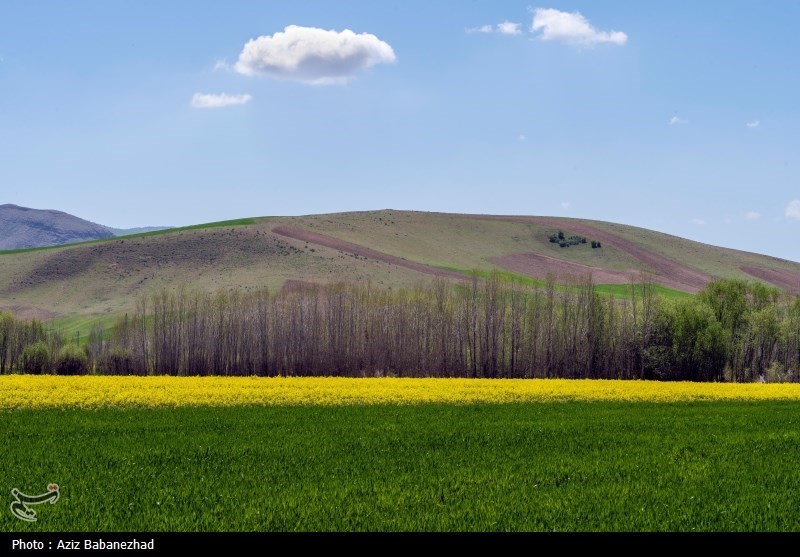 65 هزار هکتار از عرصههای کشاورزی قم سنددار شده است