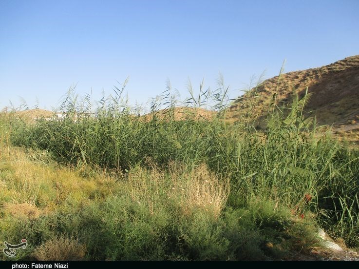 استان لرستان , جمعیت هلال احمر ,