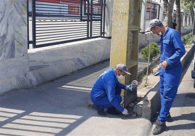 آغاز طرح مبارزه با جوندگان موذی در بوشهر