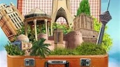 آمادگی هرمزگان برای جذب سرمایهگذار گردشگری هوایی