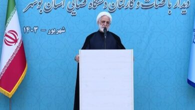 اتخاذ تدابیر لازم برای تشکیل دادگاههای صلح