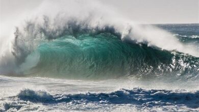 افزایش ارتفاع موج خلیجفارس در سواحل استان بوشهر