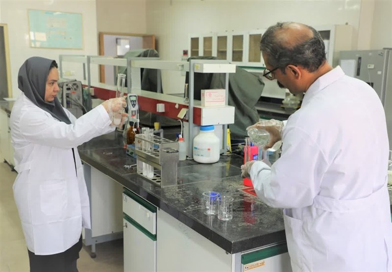 انجام 25 هزار آزمایش برای تشخیص بیماریهای میگو در بوشهر