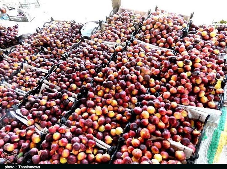 استان لرستان , پلدختر ,