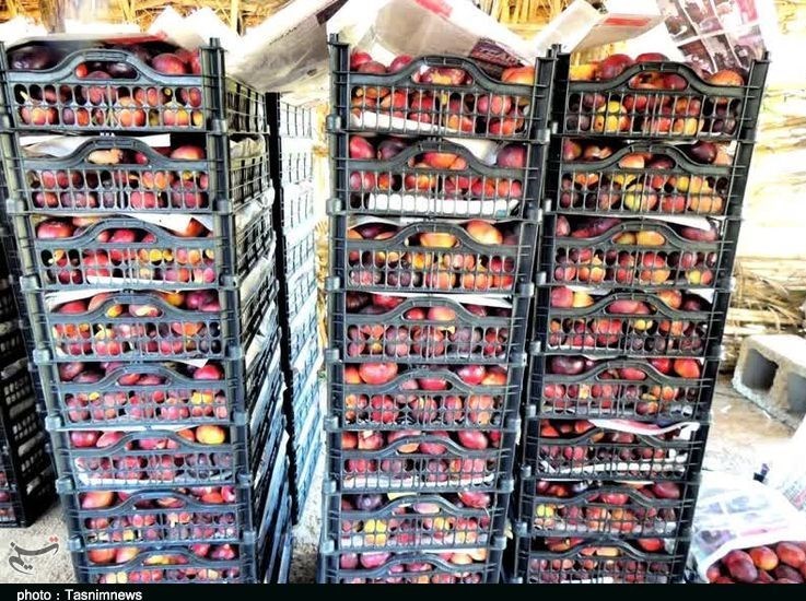 استان لرستان , پلدختر ,