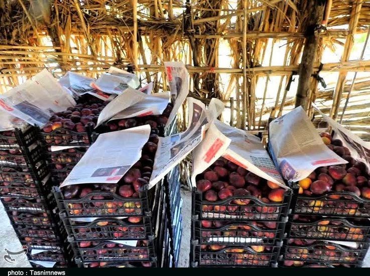 استان لرستان , پلدختر ,