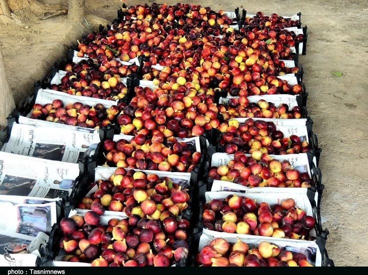 استان لرستان , پلدختر ,