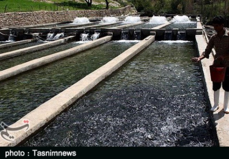 بهرهبرداری از پروژه برقرسانی به مجتمع پرورش ماهی ریجاب