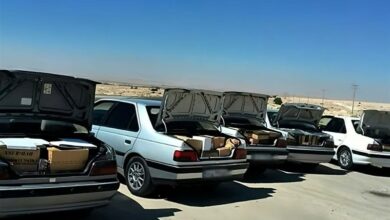 توقیف 4 دستگاه خودرو شوتی در ایلام