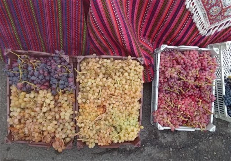 تولید 30 هزار تن انگور در مشگینشهر