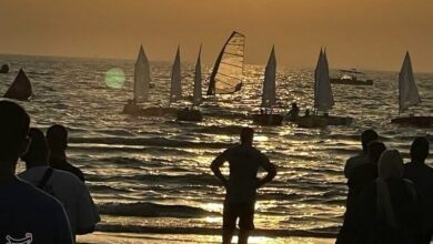 جشنواره بزرگ قایقهای بادبانی در بوشهر + تصاویر