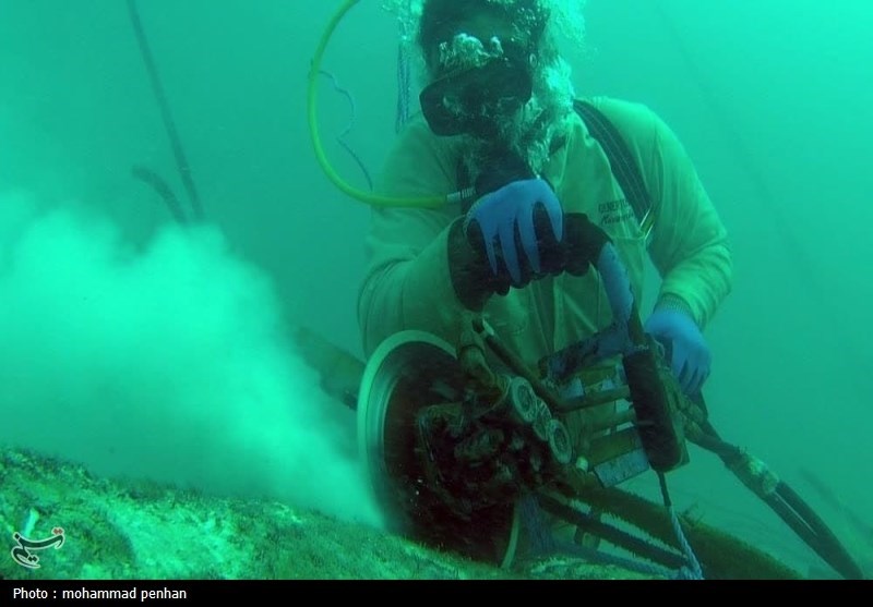 آلودگی های زیست محیطی ,