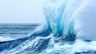 دریای خزر از فردا مواج میشود/ شنا ممنوع