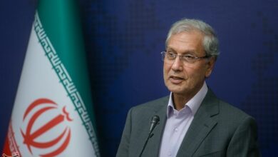 ربیعی: پزشکیان بدون نظر مردم جراحی اقتصادی انجام نمیدهد