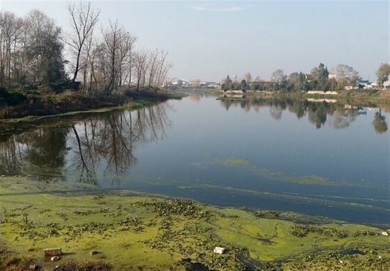 زیرساخت برای سرمایهگذاری در حوزه تالابهای بابل آماده نیست