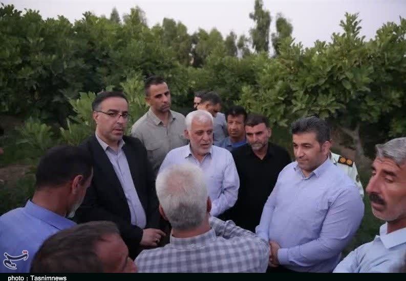 استان لرستان , پلدختر , کشاورزی ,