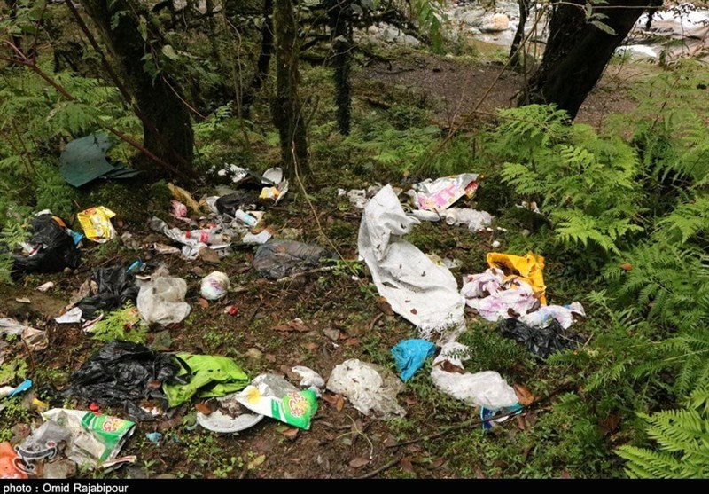 سوغات مسافران بیفرهنگ برای جنگلهای هیرکانی/ فقط آشغال!