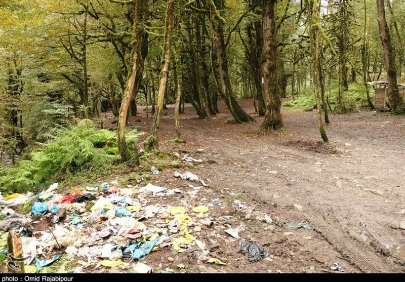 سوغات مسافران بیفرهنگ برای جنگلهای هیرکانی/ فقط آشغال!