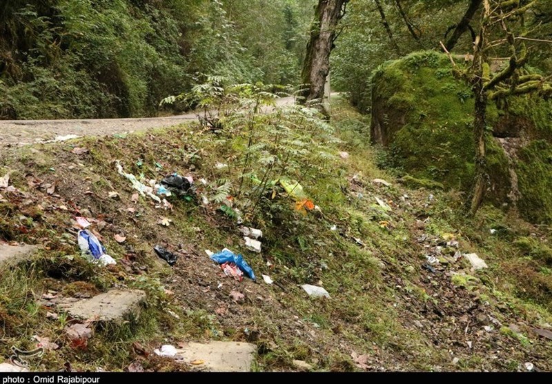 سوغات مسافران بیفرهنگ برای جنگلهای هیرکانی/ فقط آشغال!