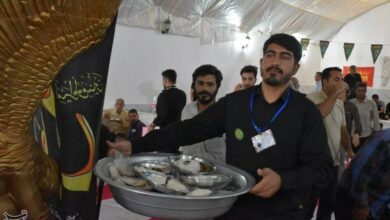 سوگواری امام رئوف در لرستان/ نذر ارادت با موکبهای سخاوت