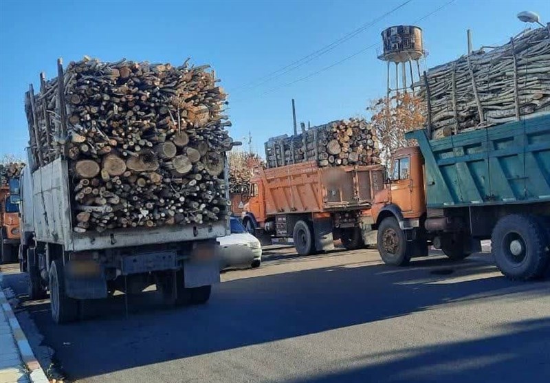 صدور 181 مجوز حمل چوب در خراسان جنوبی