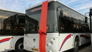 صدور دستور ترخیص 4 هزار خودروی از بندر شهید رجایی