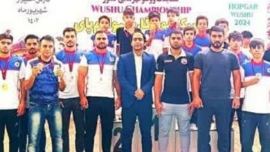 قهرمانی ووشوکاران بوشهری در مسابقات کشوری