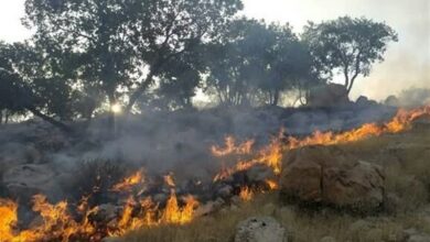 وقوع 116 آتشسوزی در جنگلها و مراتع چهارمحال و بختیاری