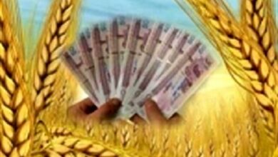 پرداخت ۱۶۰ همتی مطالبات گندمکاران