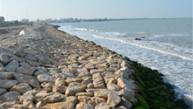 پروژه ساحلسازی بوشهر در حریم دریا ساماندهی شود